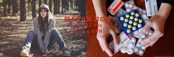 гидра Белоозёрский