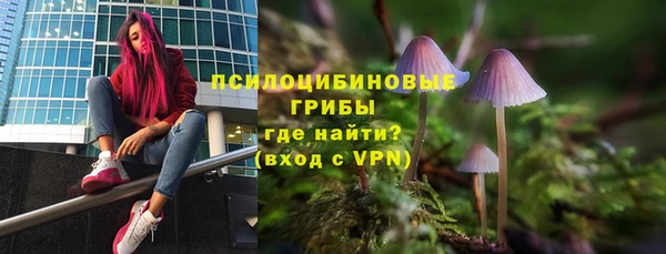 гидра Белоозёрский