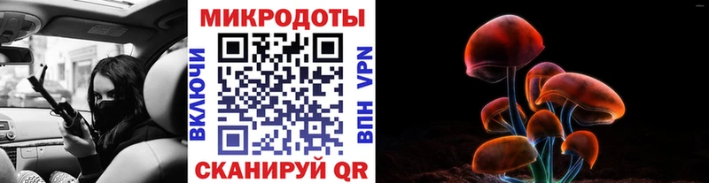 Псилоцибиновые грибы Cubensis  Купить  Лодейное Поле 